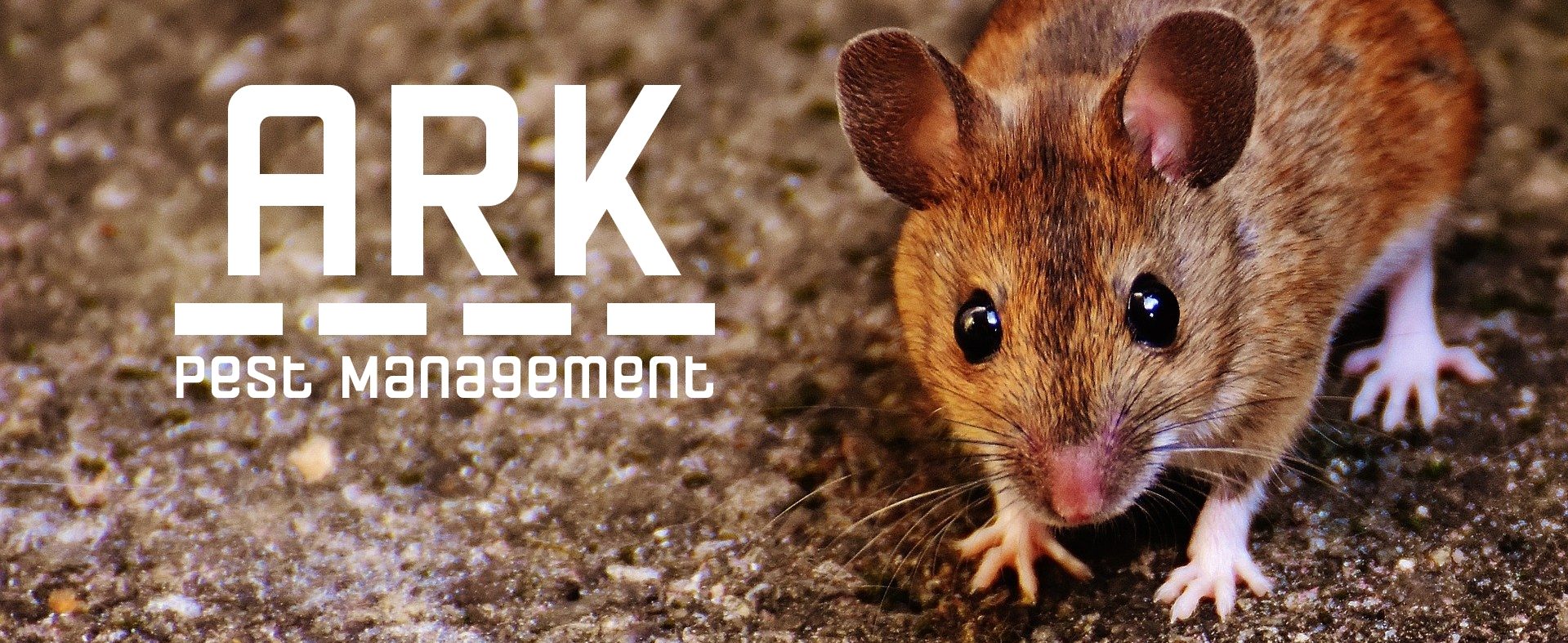 ARK Pest Management